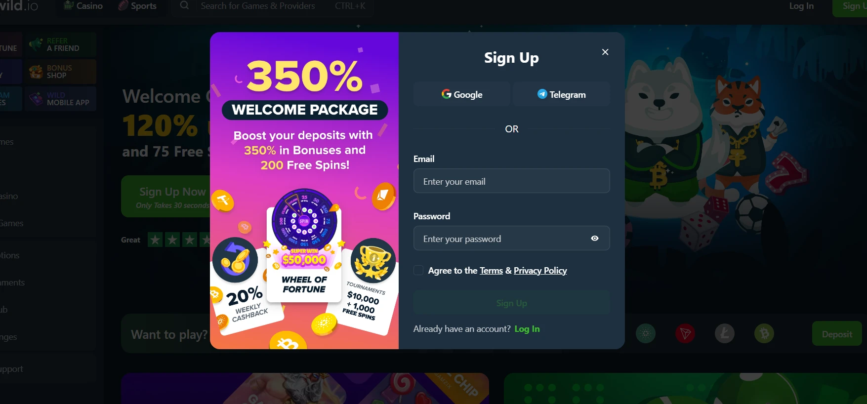 Wild.io casino