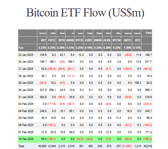 Bitcoin ETF flow
