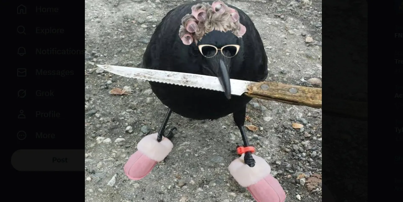 Crow meme