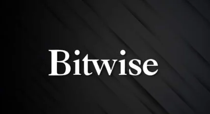 Bitwise asset management