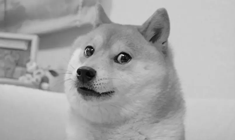 Doge