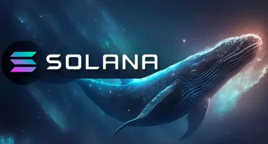 Solana whale