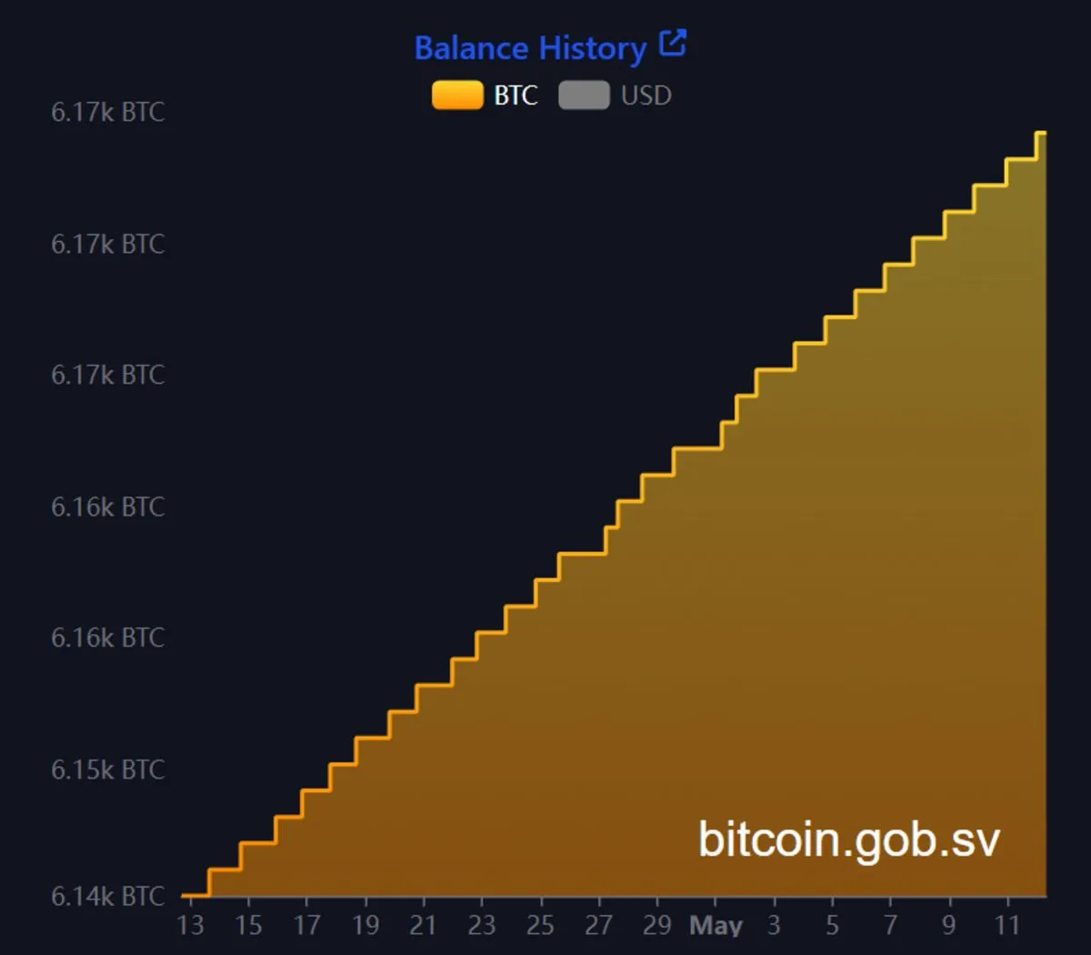 Bitcoin holdings