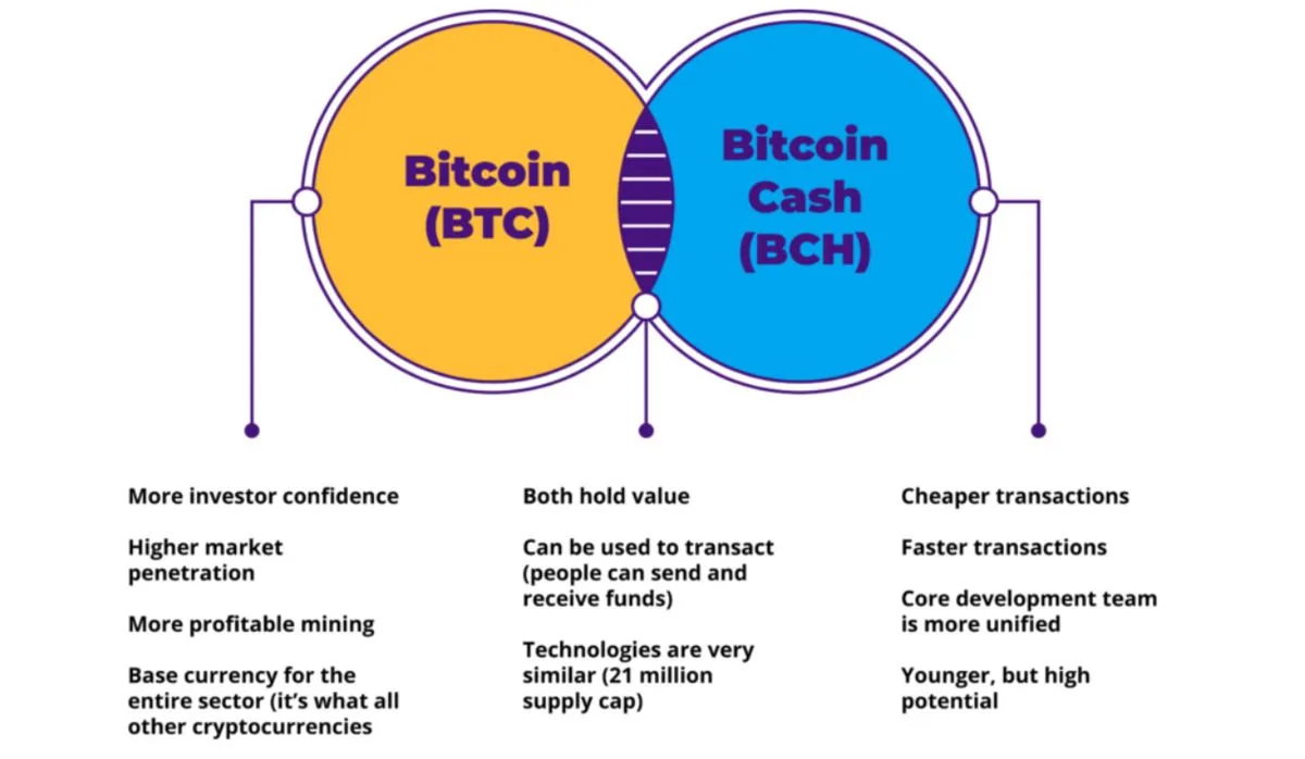 BTC vs BCH