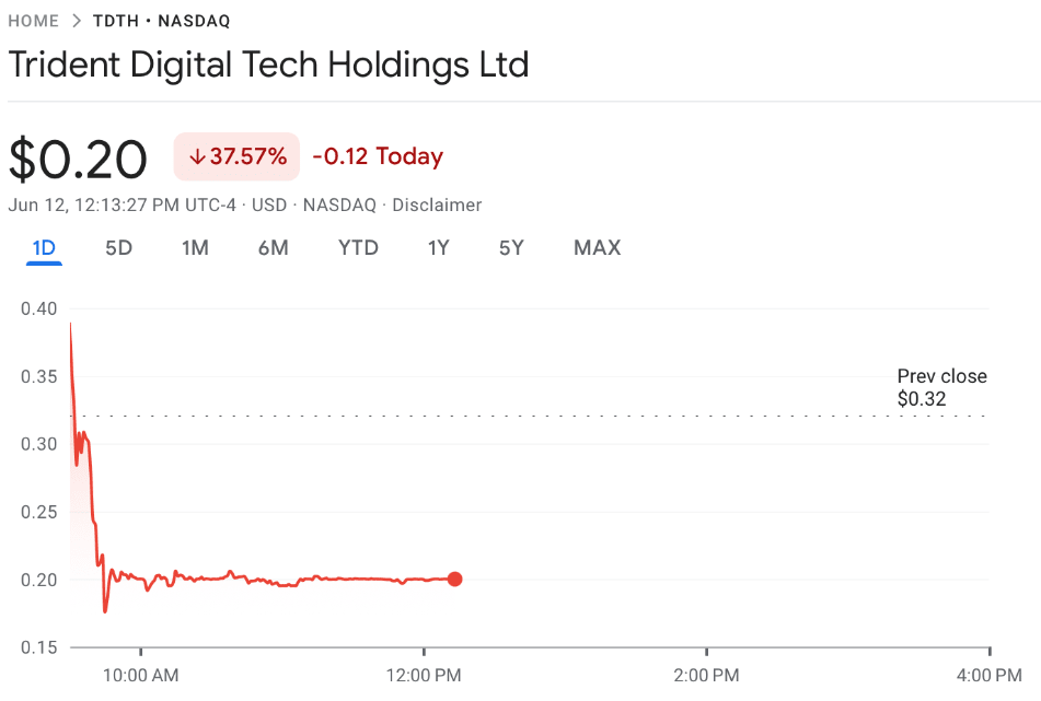 Trident share price
