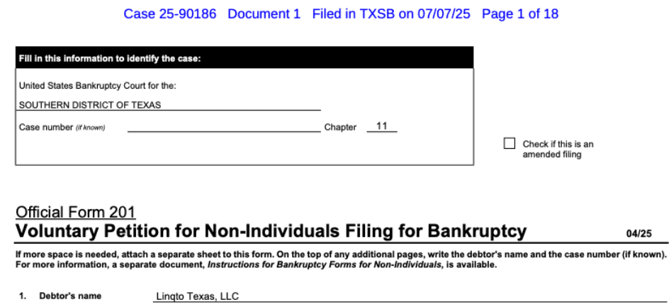 excerpt from Linqto’s voluntary petition for bankruptcy