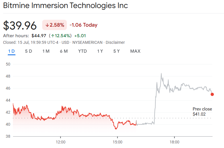 Bitmines shares