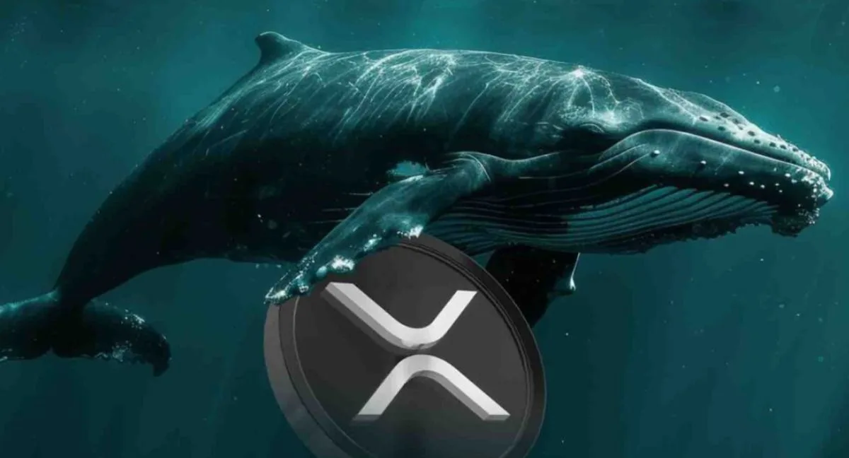 XRP whale