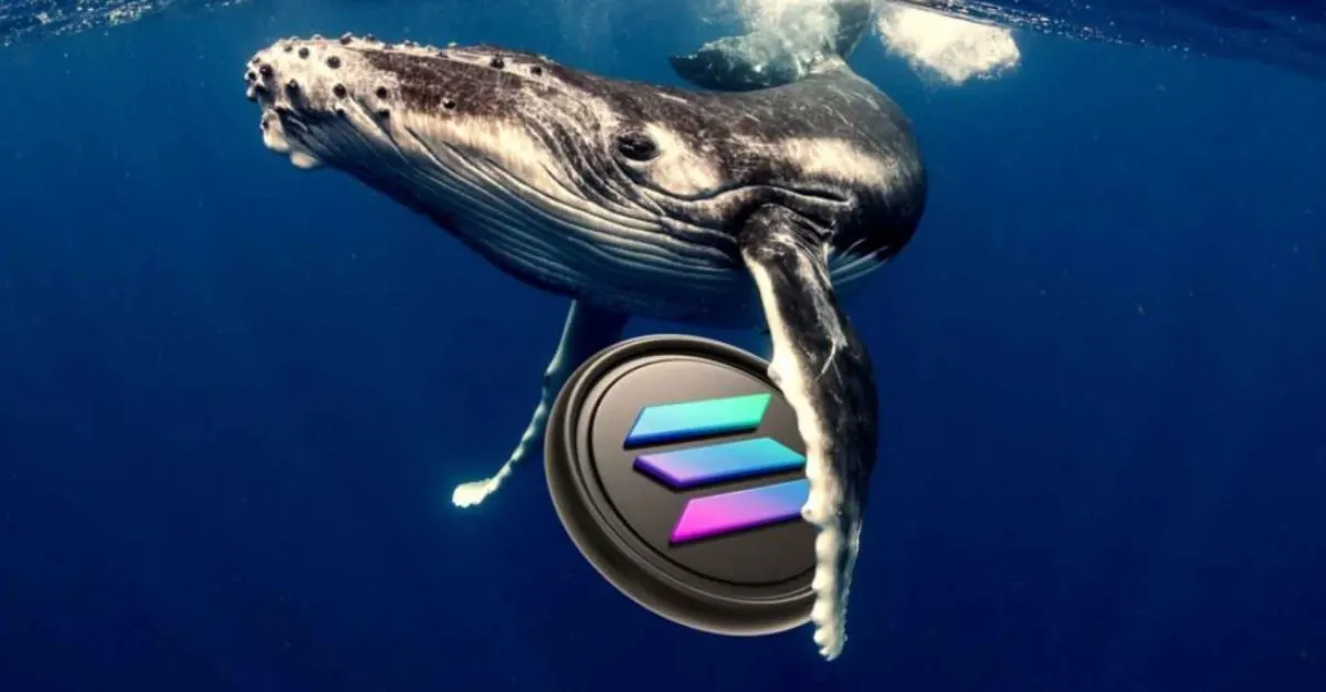 SOL whale