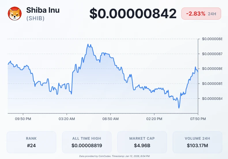 Whale Withdraws 48.5 Billion SHIB from Coinbase in $422K Transaction
