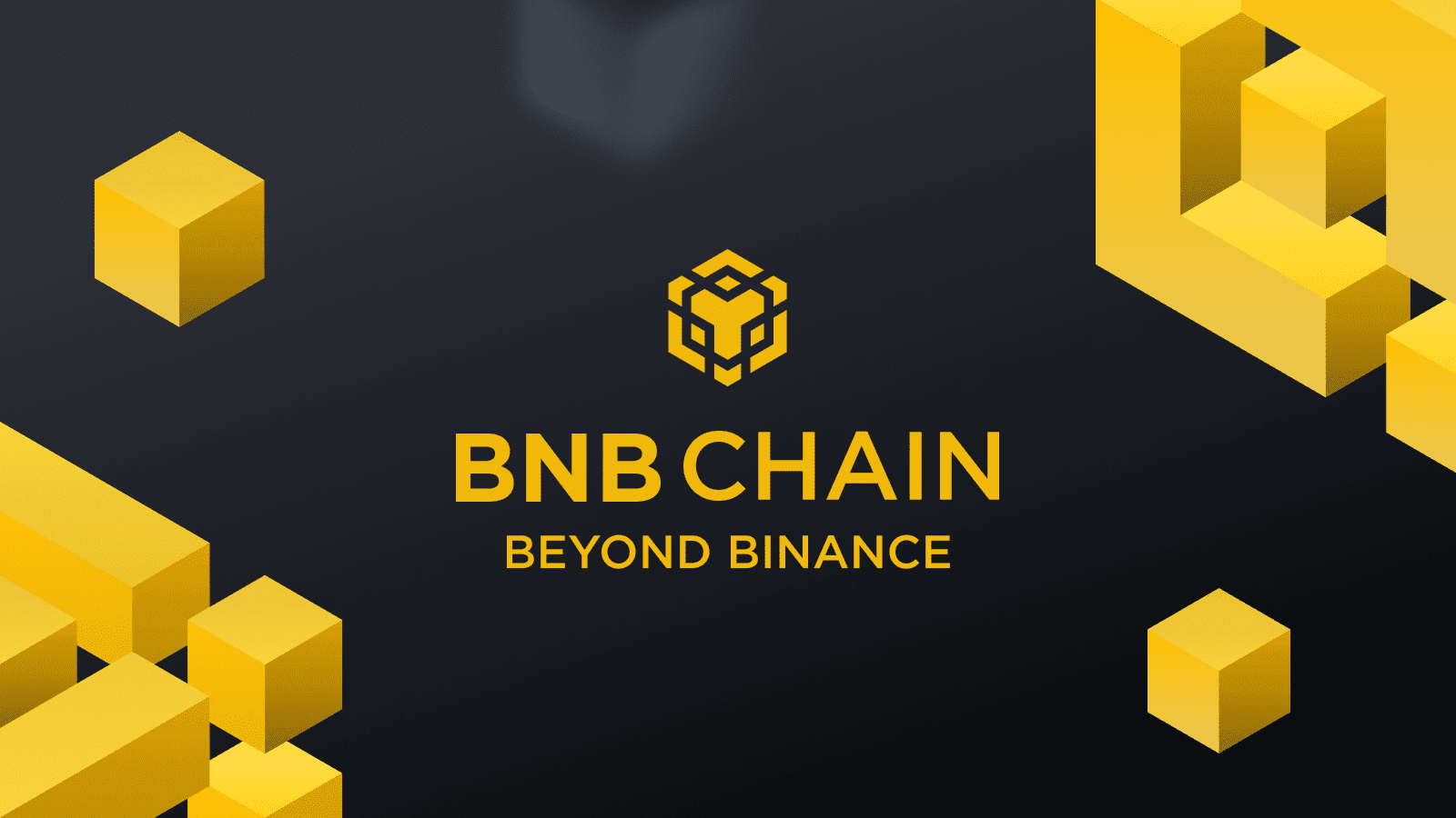 A logo of a Binance Smart Chain. 