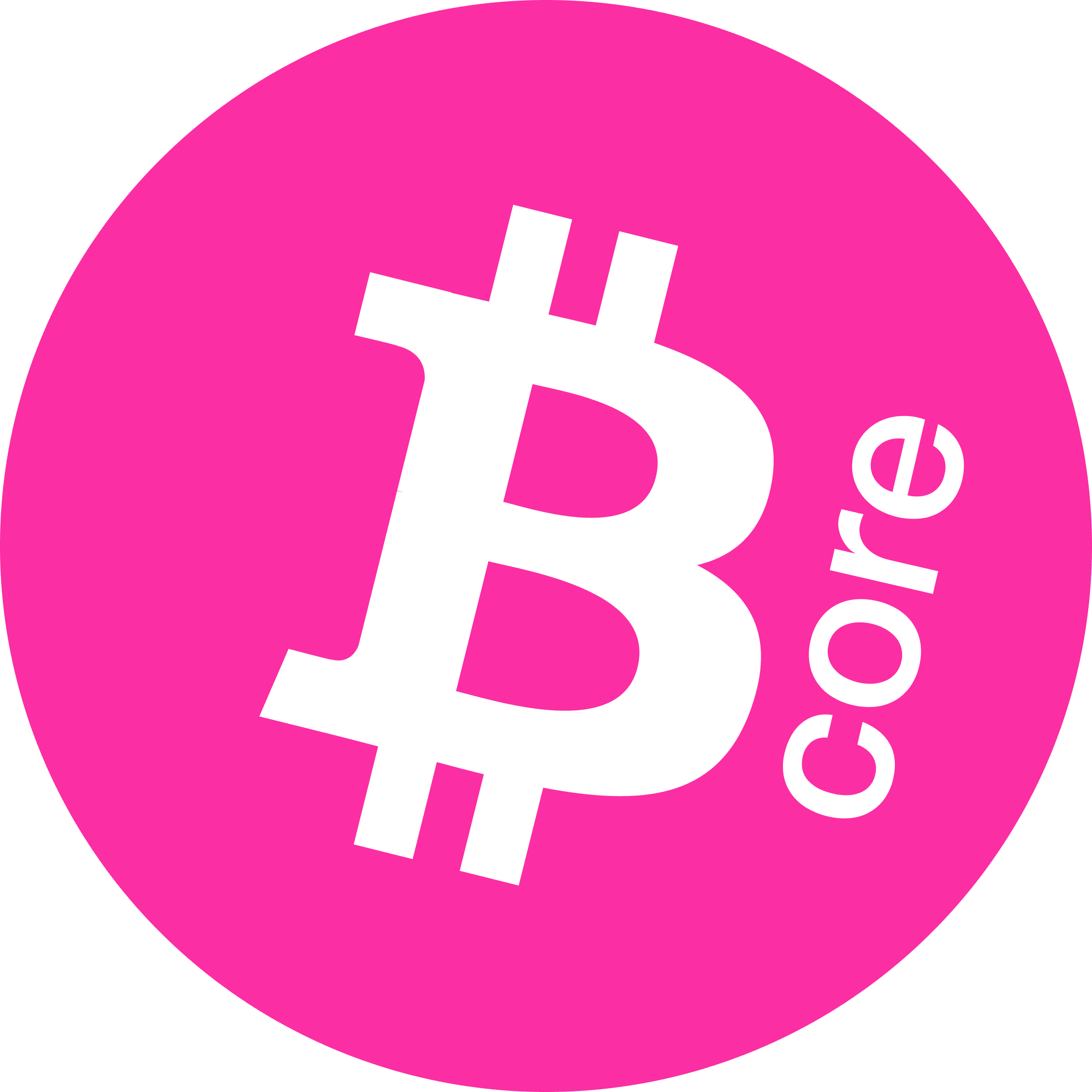 BitCore logo in png format