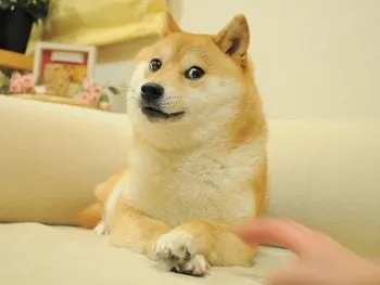 The Story Of The Most Famous Meme Ever. The Legendary "Doge"