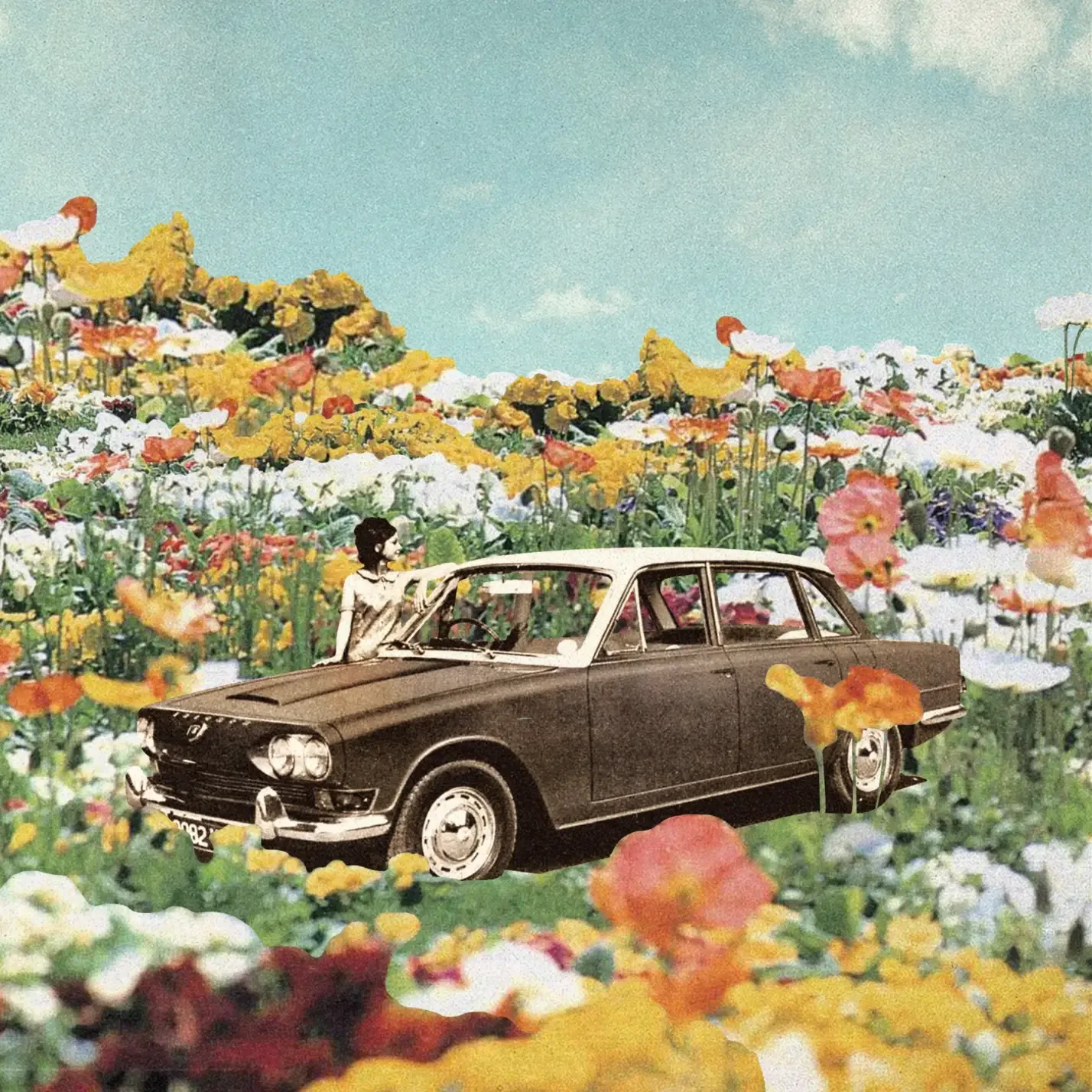 Artwork by Cover Art Guy showing a vintage black-and-white car with a woman next to it amid colorful flowers