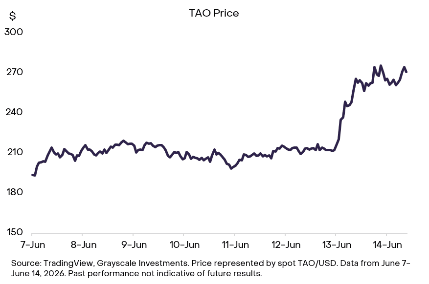 The price of TAO rallied as the updated Anthropic AI model was suspended. Source: Grayscale.
