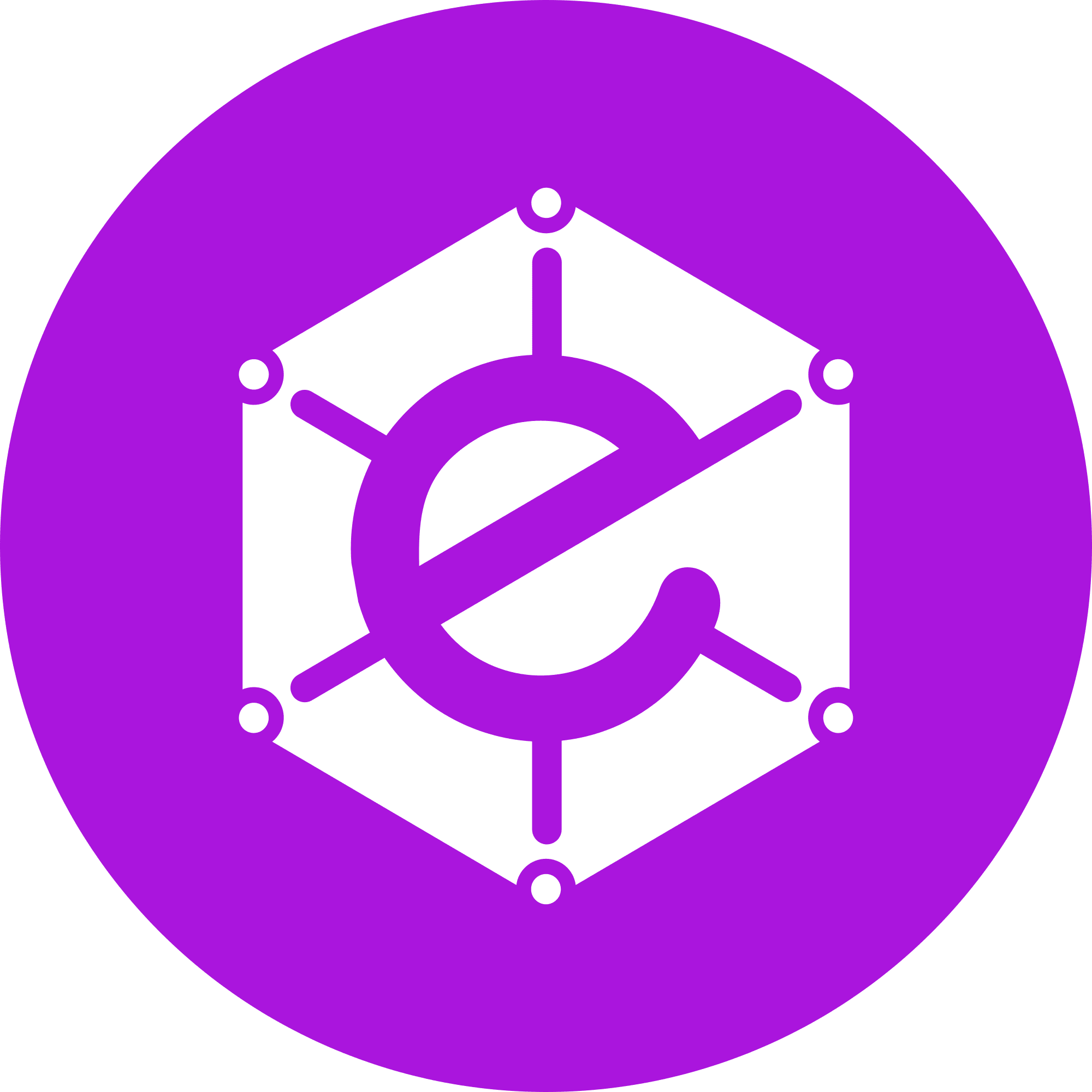 Electra logo in png format