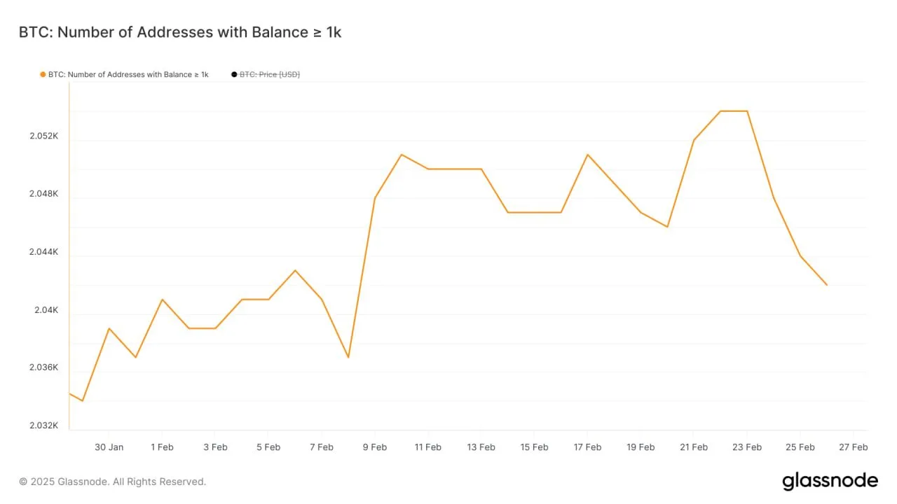 Number of addresses holding at least 1,000 BTC. Source: Glassnode.