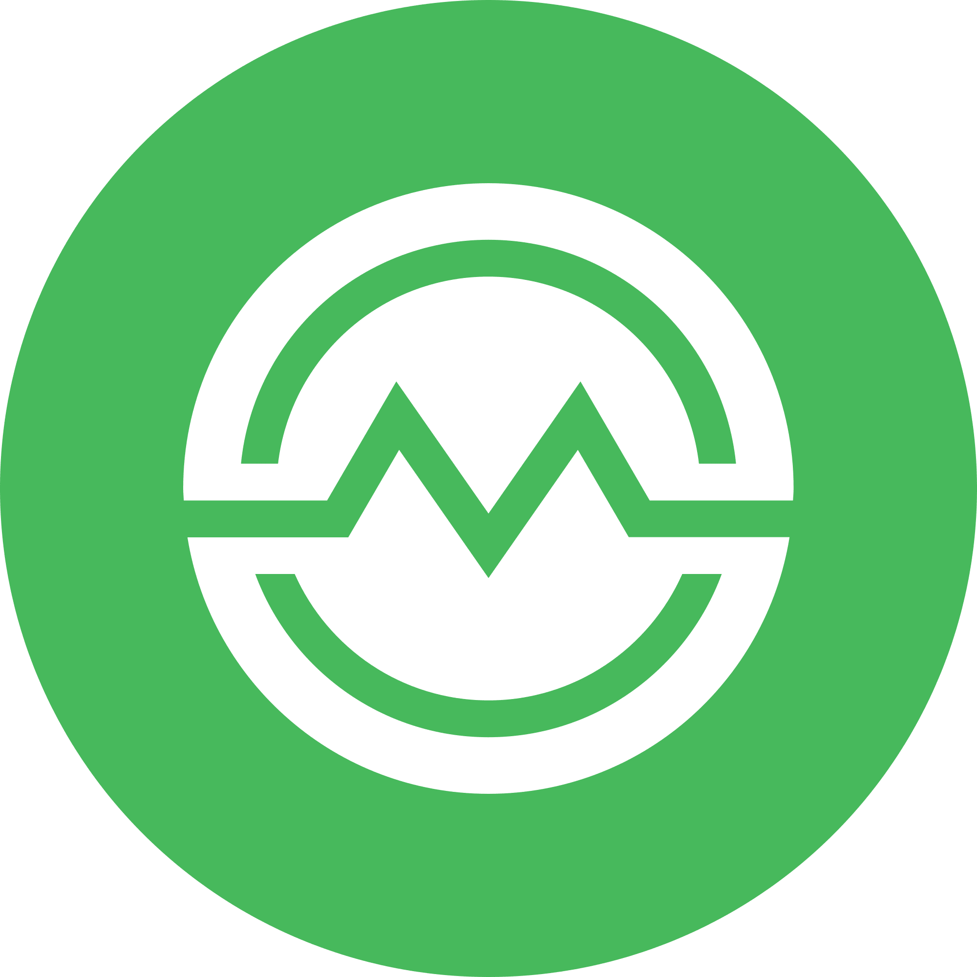 Masari (MSR) logo