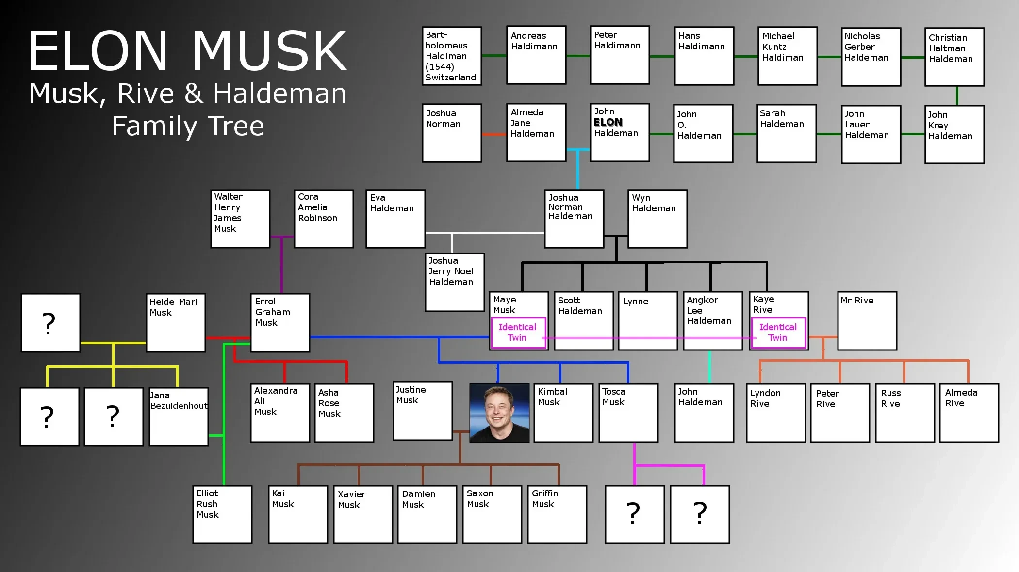 Elon Musk Family Tree