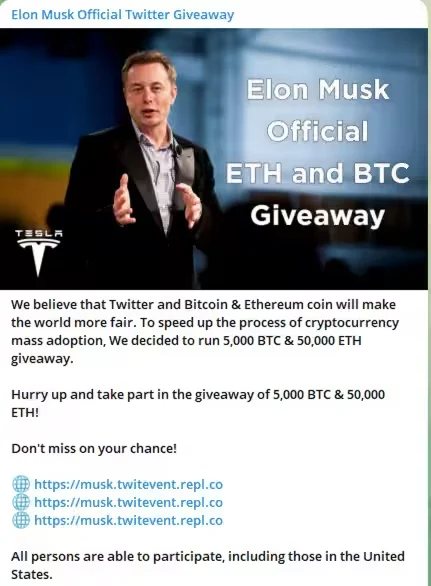 Fake Musk's Giveaway