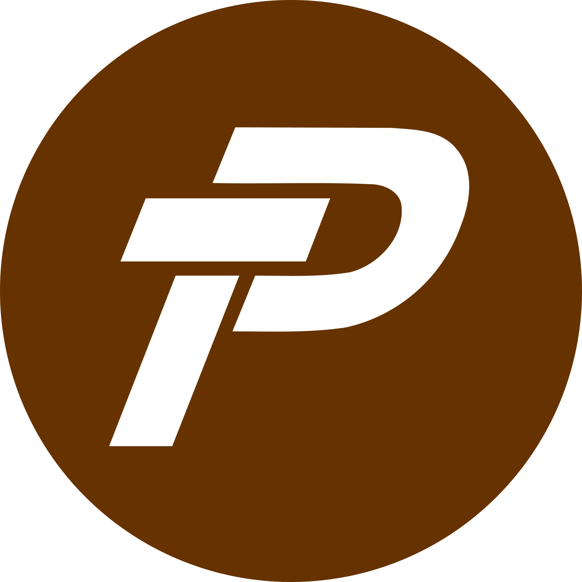 Paypex logo in png format
