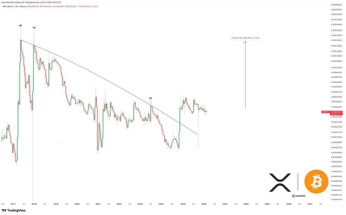 photo 2026 03 01 19 11 15 7de10929a0