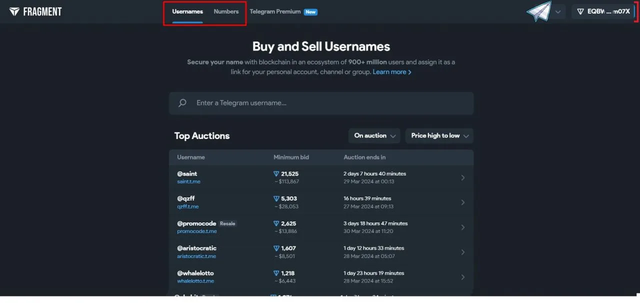 Username purchase section in Fragment