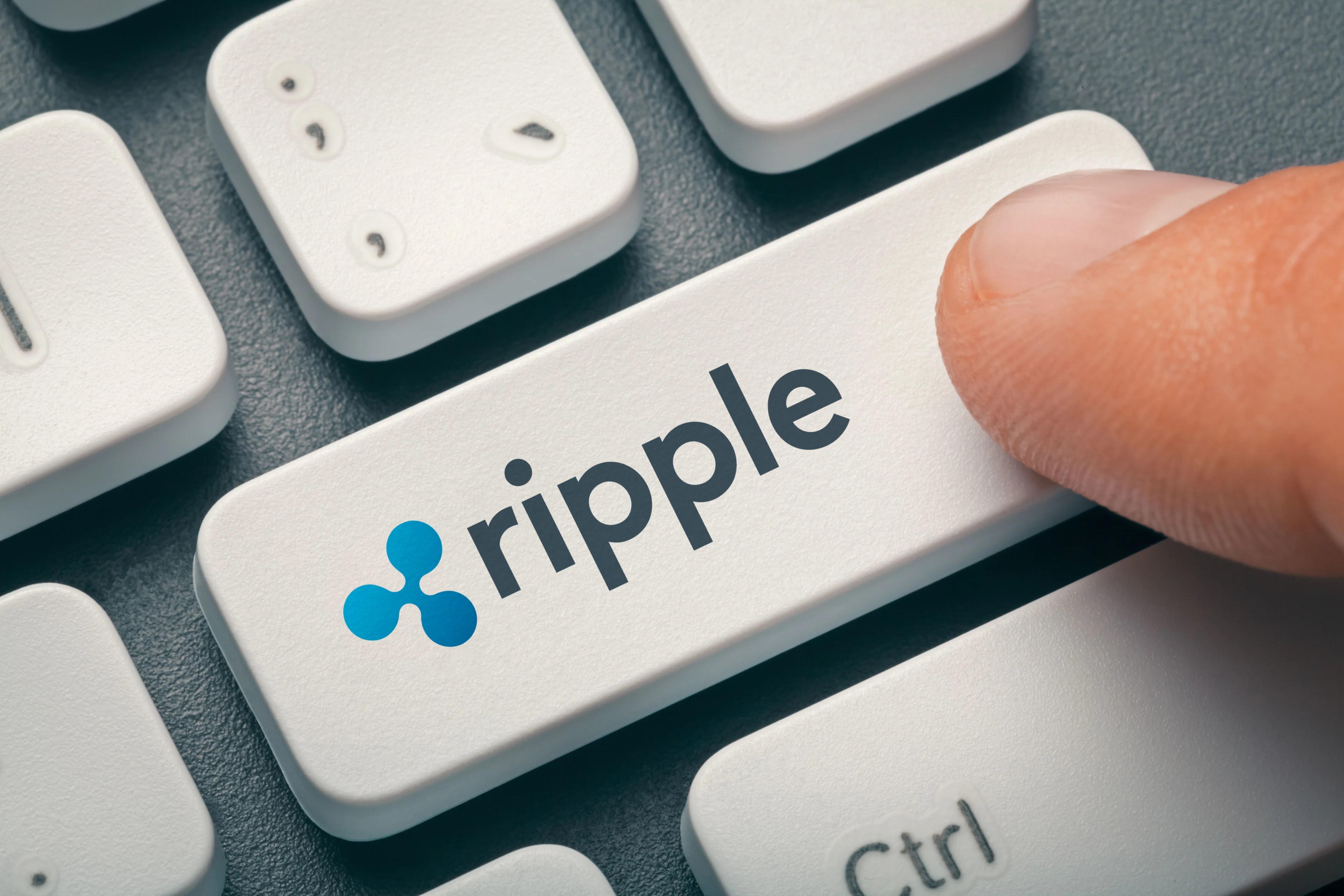 Inside the XRP Elite: Who Holds the Keys to Ripple’s Future? Source: Shutterstock