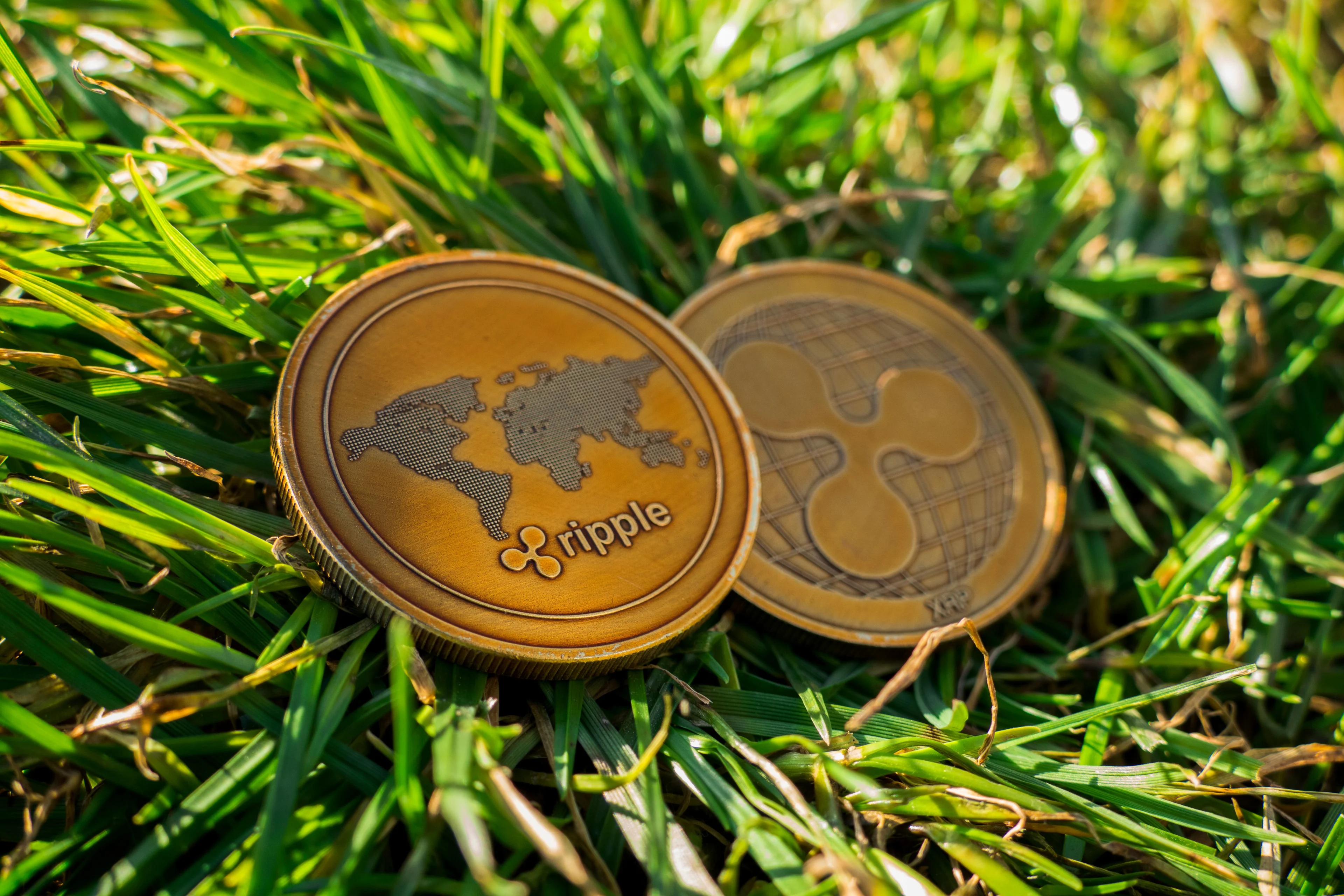 Ripple vs Circle: What’s Behind the Stablecoin Takeover Bid? Source: Shutterstock