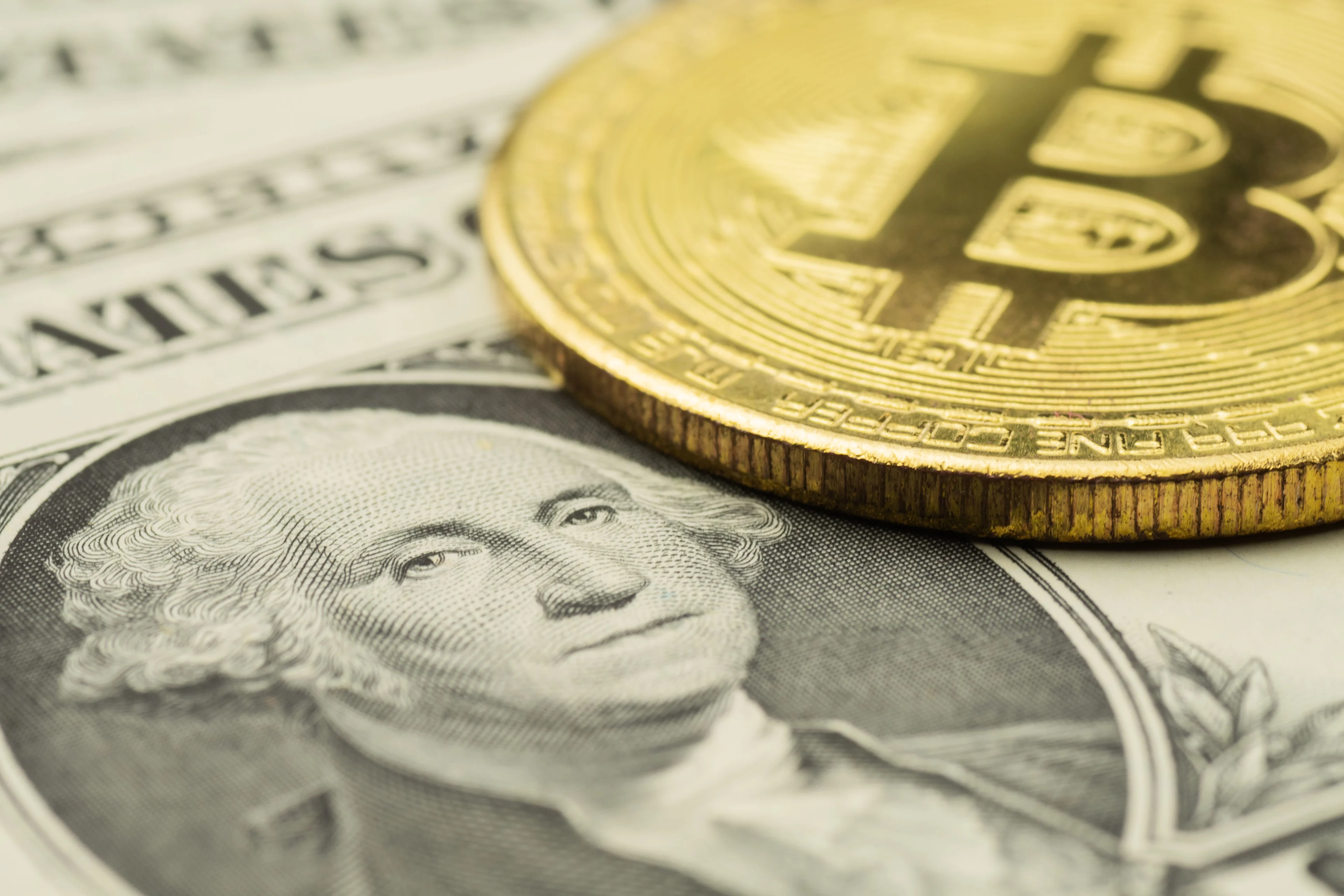 Bitcoin treasuries