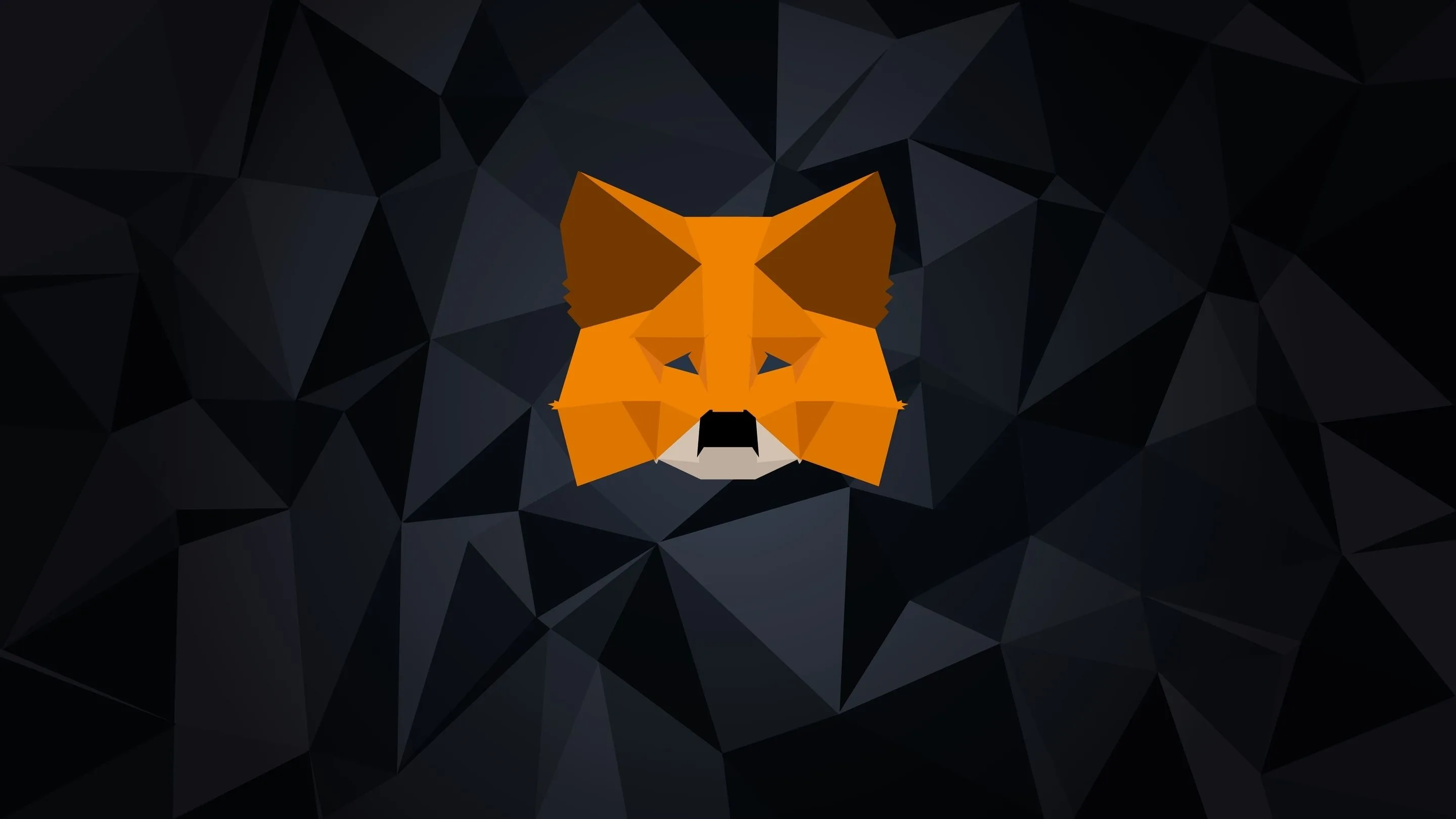 MetaMask Bug Causes Excessive SSD Wear, Patch Promised Soon. Source: Shutterstock