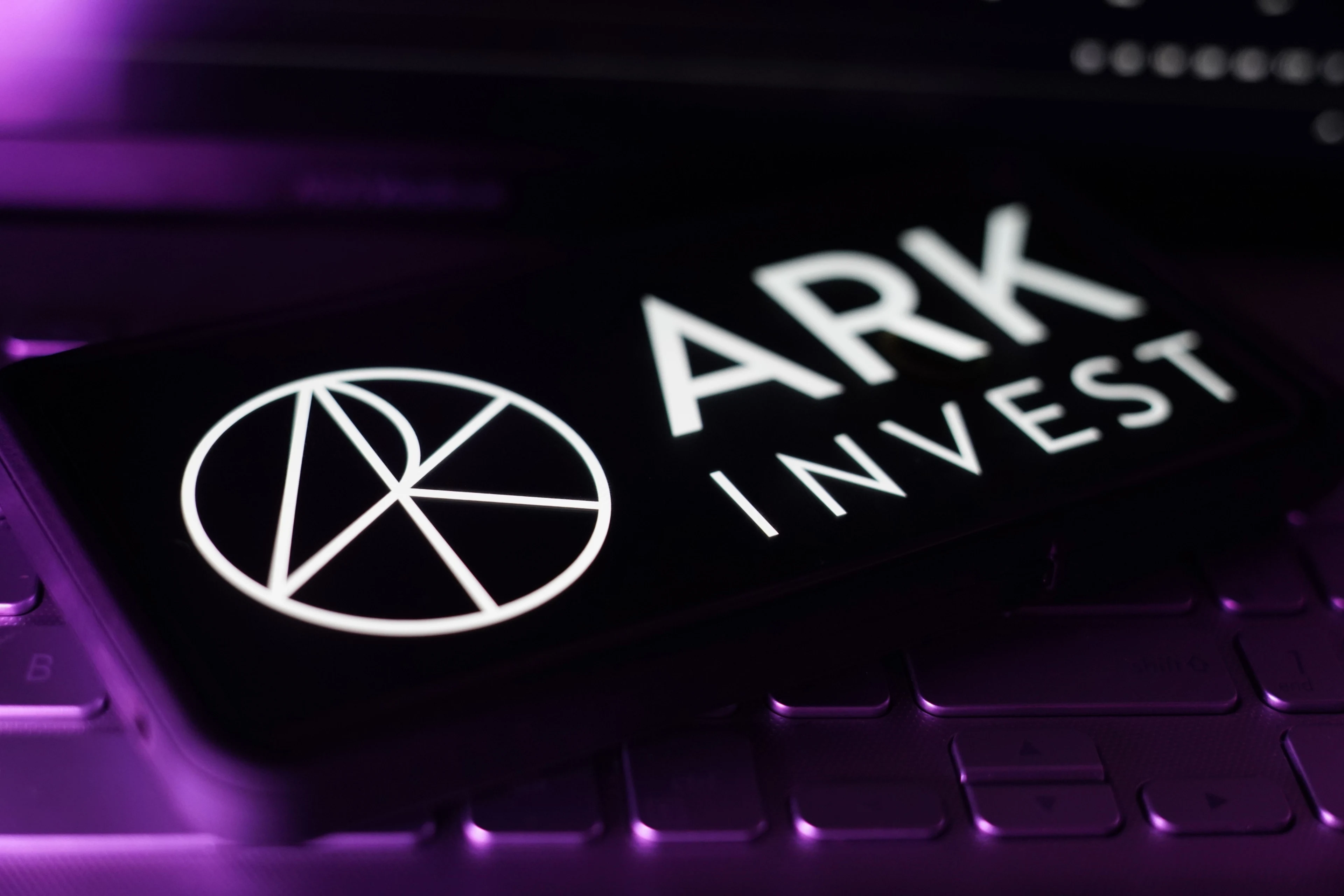 ARK Invest Buys on the Crash as $8.7 Million Flows Into BitMine and Bullish