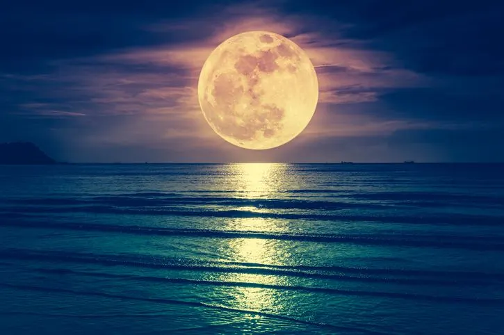 Big yellowish Moon hanging above a calm seashore