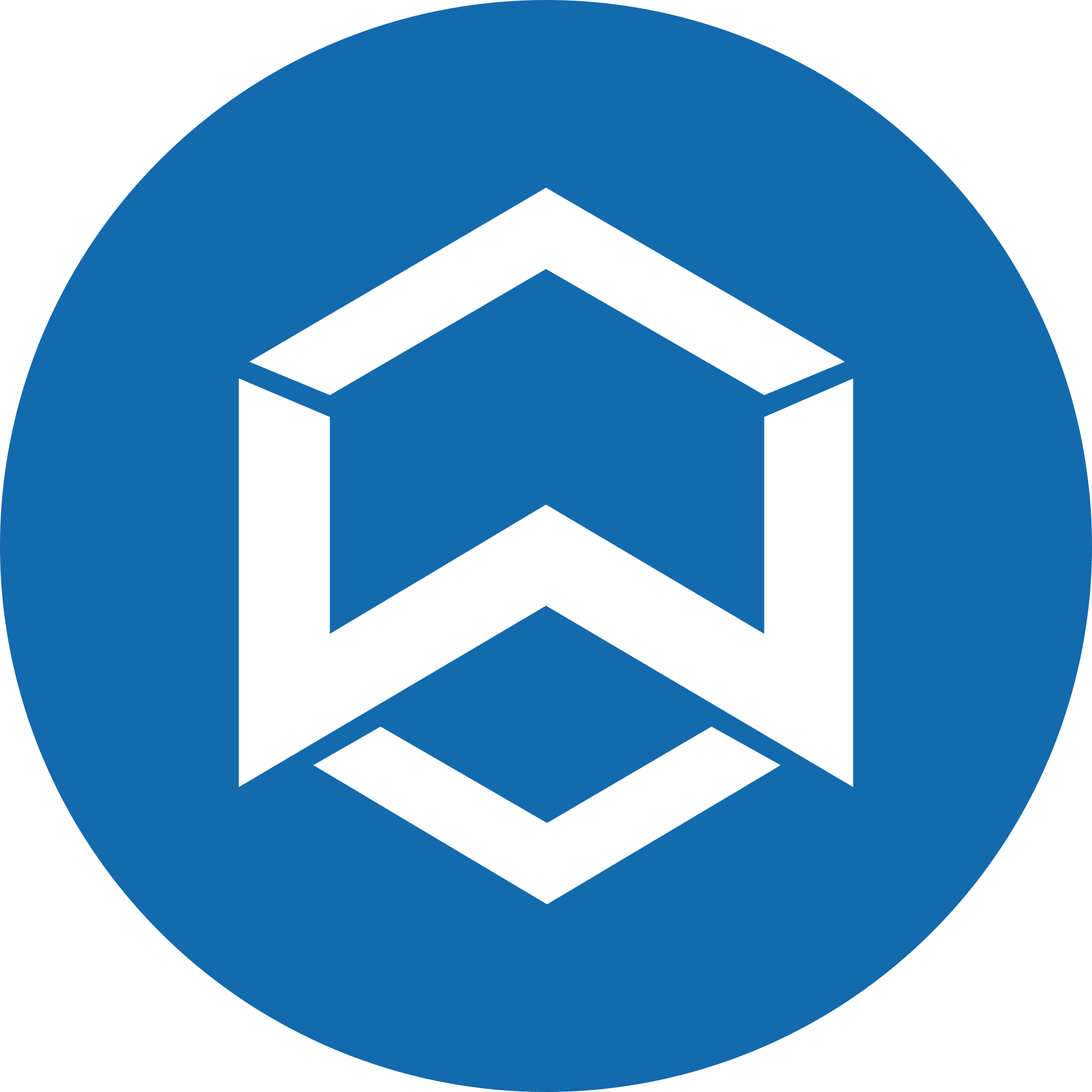 Wanchain logo in png format