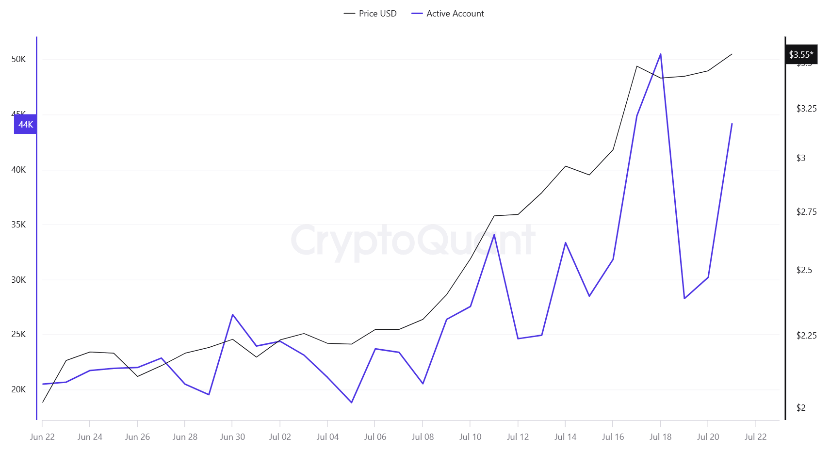 XRP Ledger: Active Addresses. Source: CryptoQuant