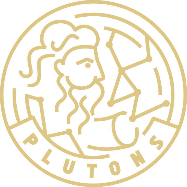 Pluton logo in svg format