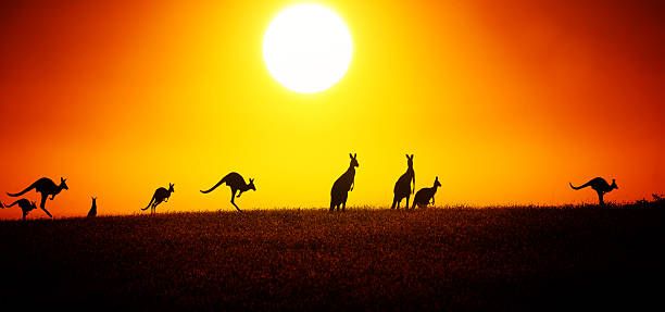 The Australian Government Has Unveiled A Plan To Regulate The Crypto Market