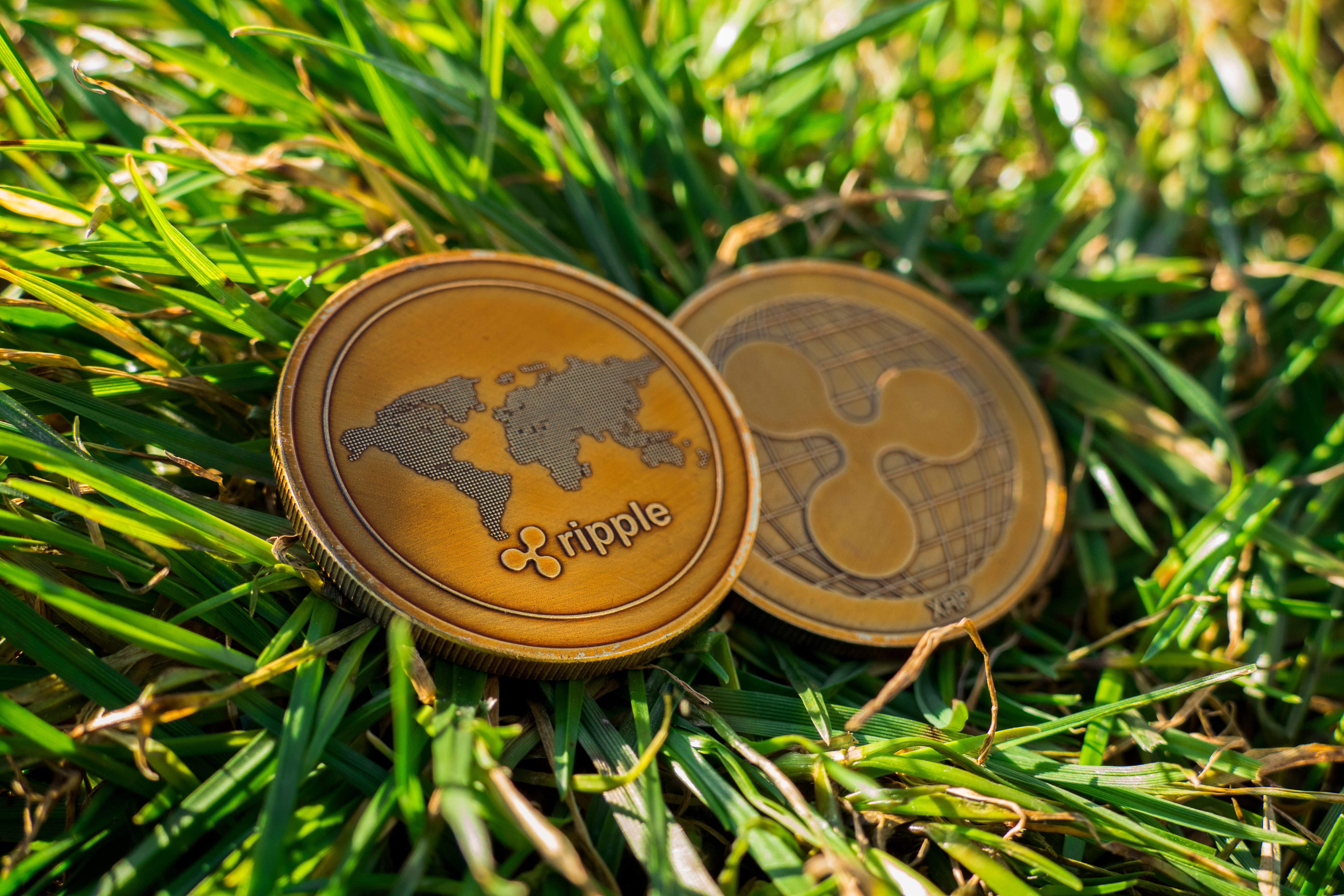 Ripple vs Circle: What’s Behind the Stablecoin Takeover Bid?