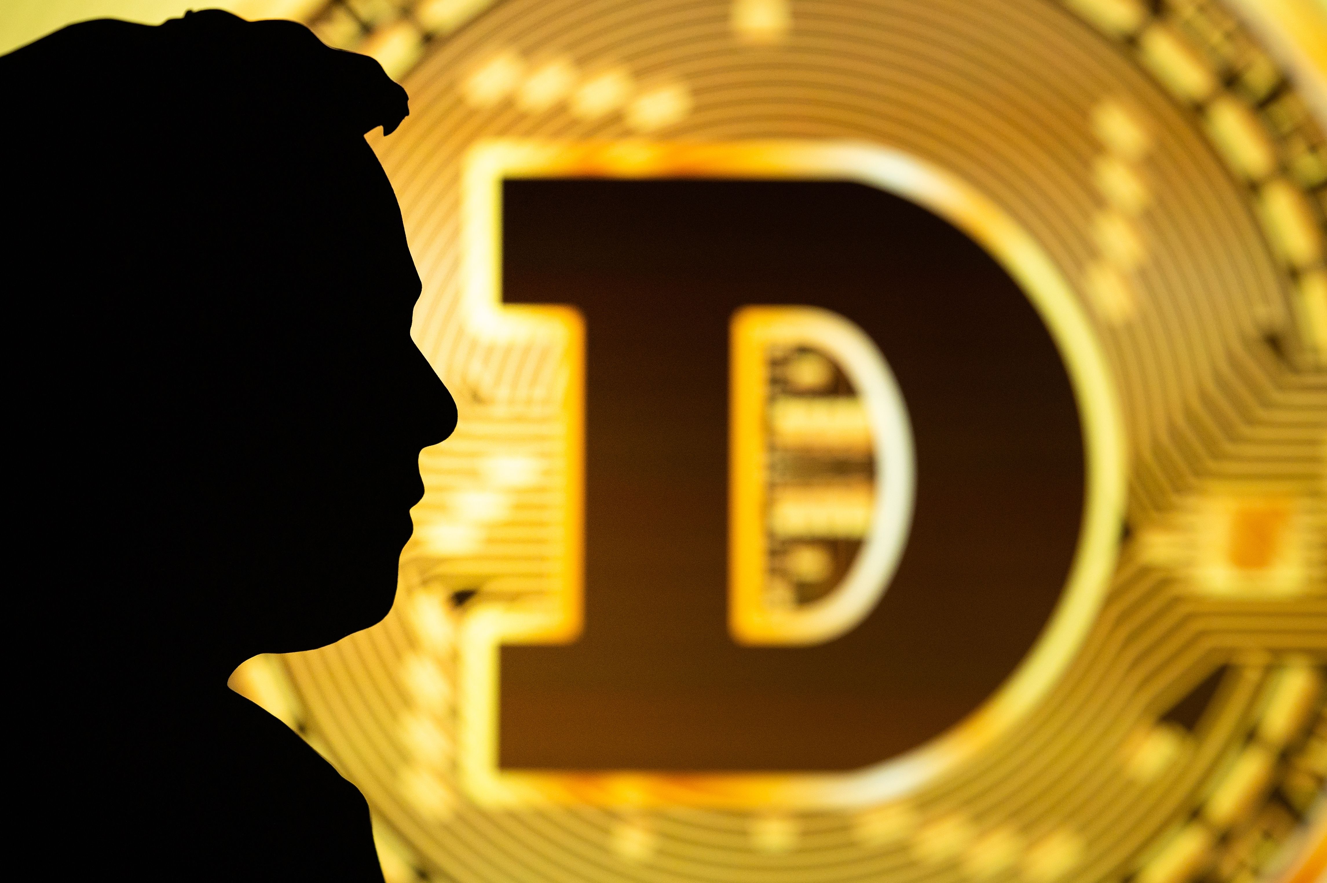 Elon Musk and Bitcoin: Ownership, Influence, and Crypto Myths