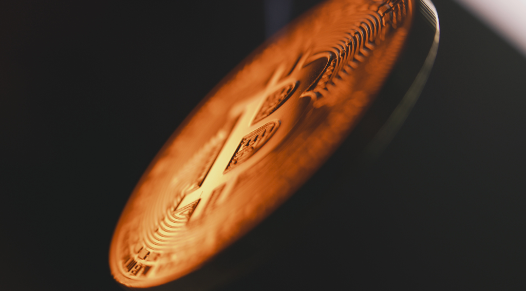 Investors Flock to Bitcoin ETFs as BTC Hits New All-Time High