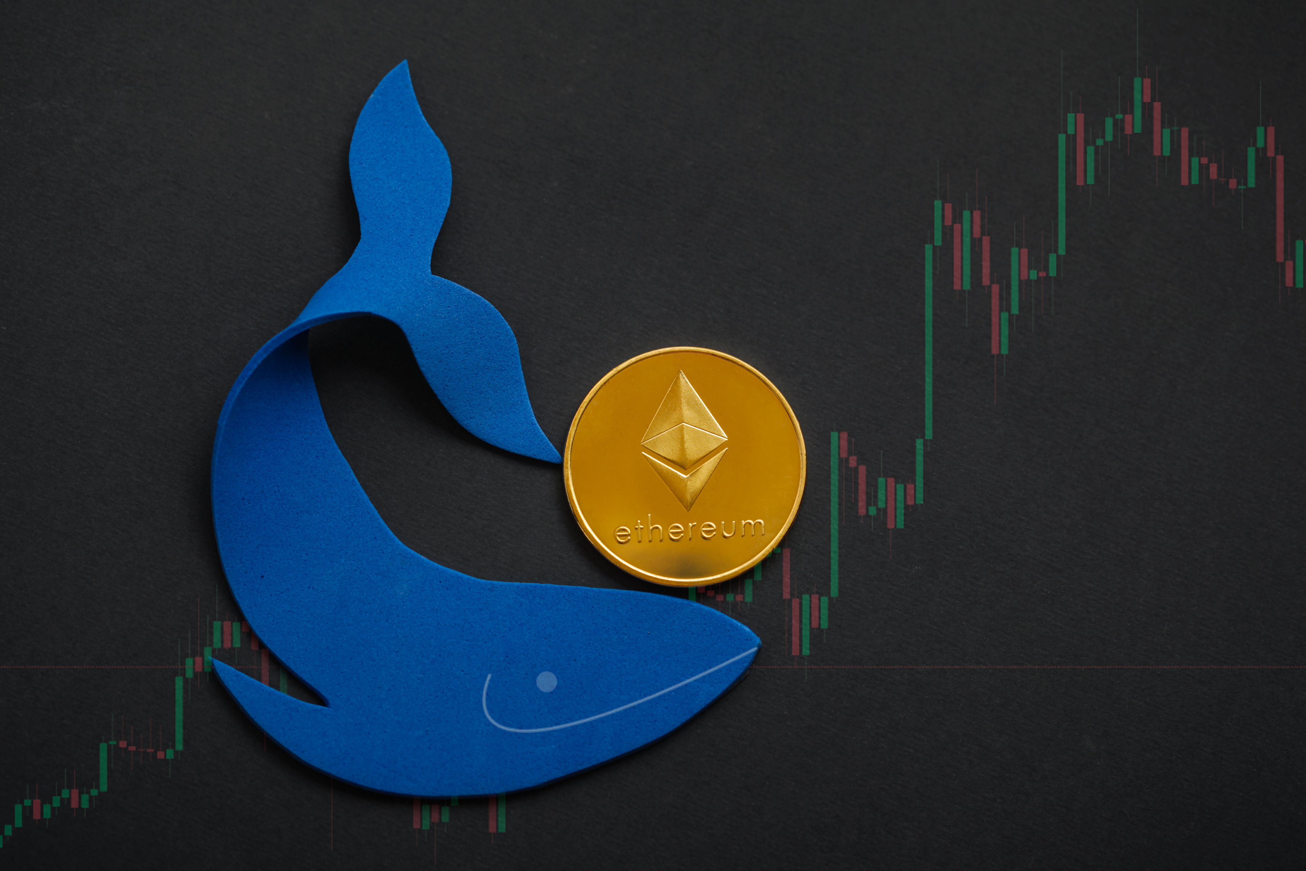 Ethereum Whales Buy the Dip Despite $312M Mega Transfer