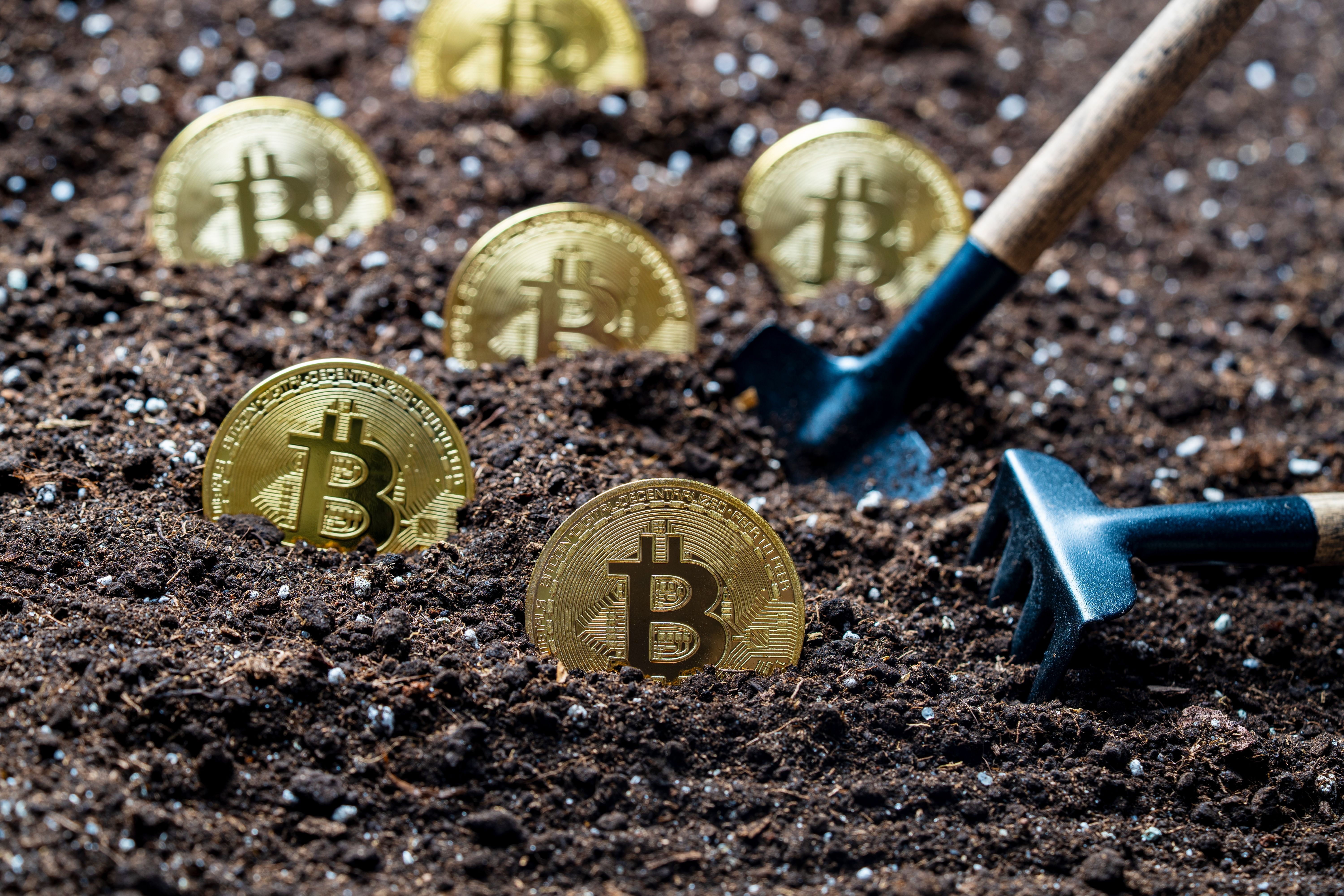 Bitmine Rockets 3,000%: Crypto Mining Stocks Lead 2025 Surge