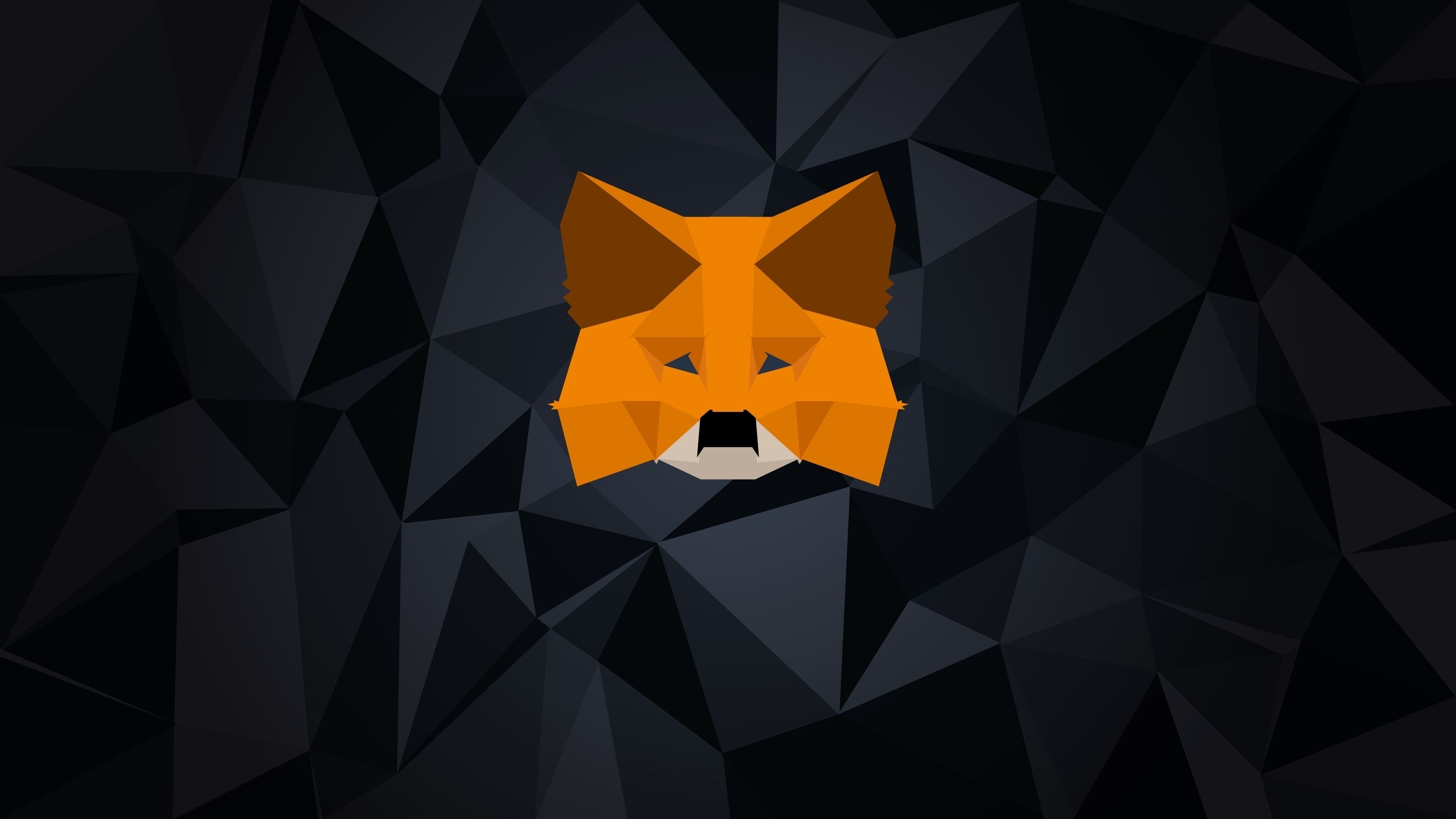 MetaMask Bug Causes Excessive SSD Wear, Patch Promised Soon