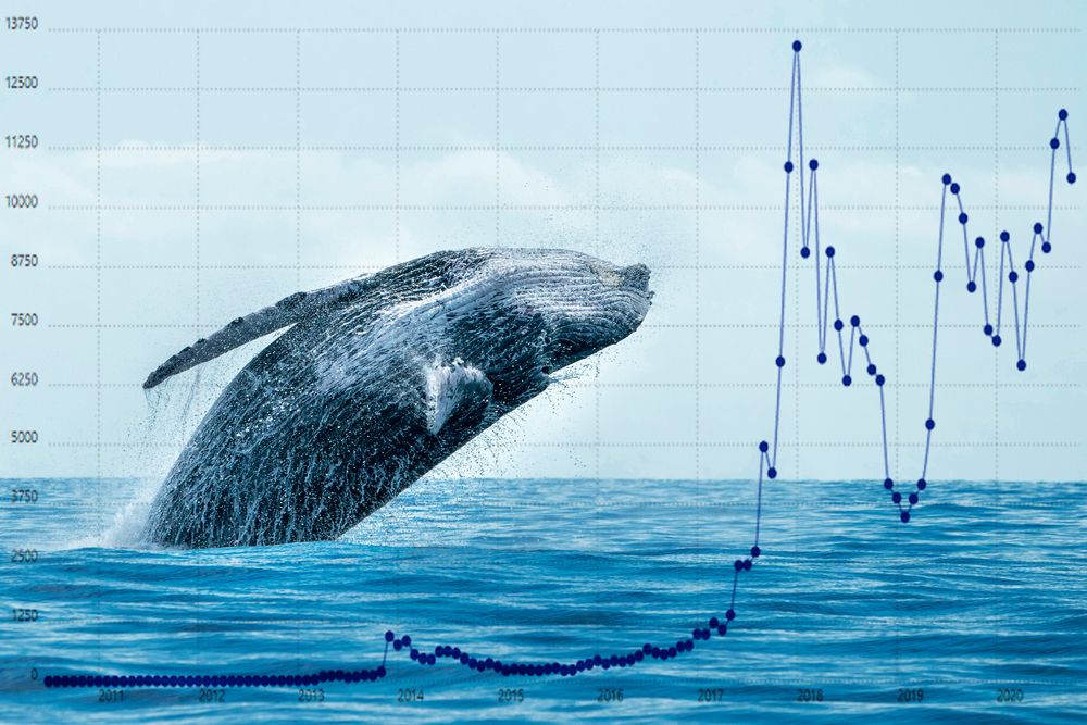 Whales Scoop 280M XRP in 10 Days as Wellgistics Taps XRPL