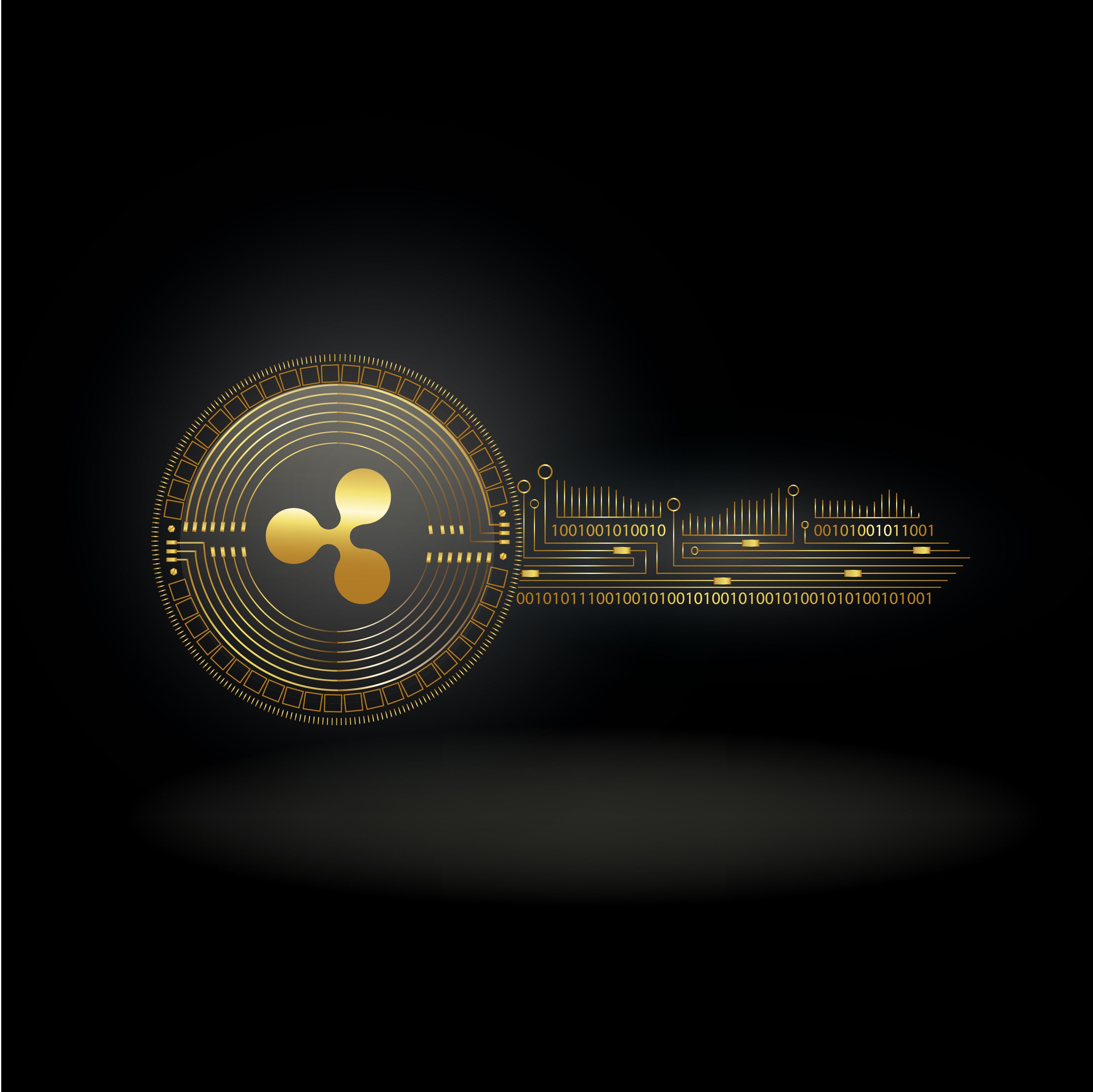 Ripple CTO Clarifies XRP Ledger Decentralization and Denies Secret Access