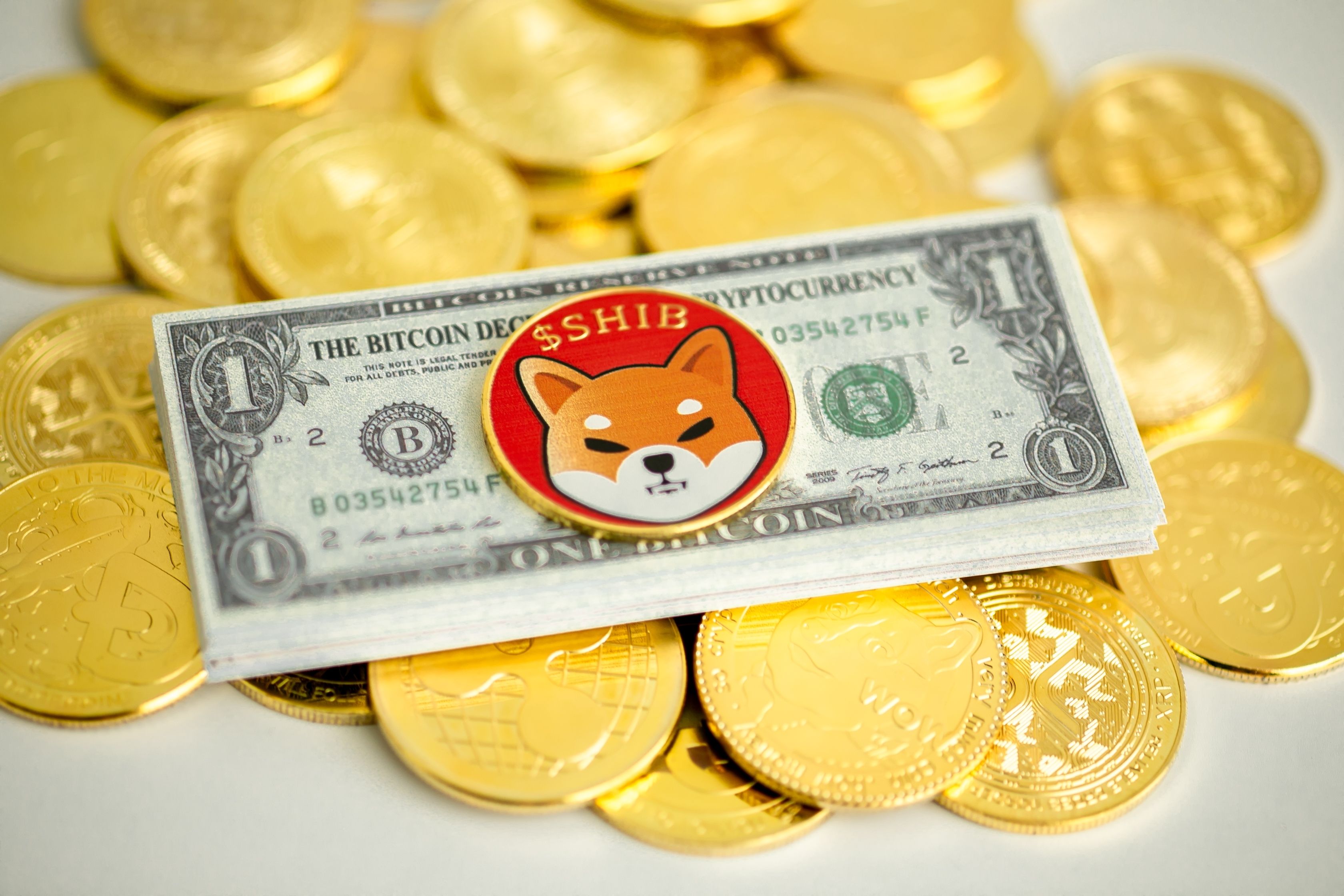 Massive Shiba Inu Token Outflow Signals Potential Bull Market Ahead