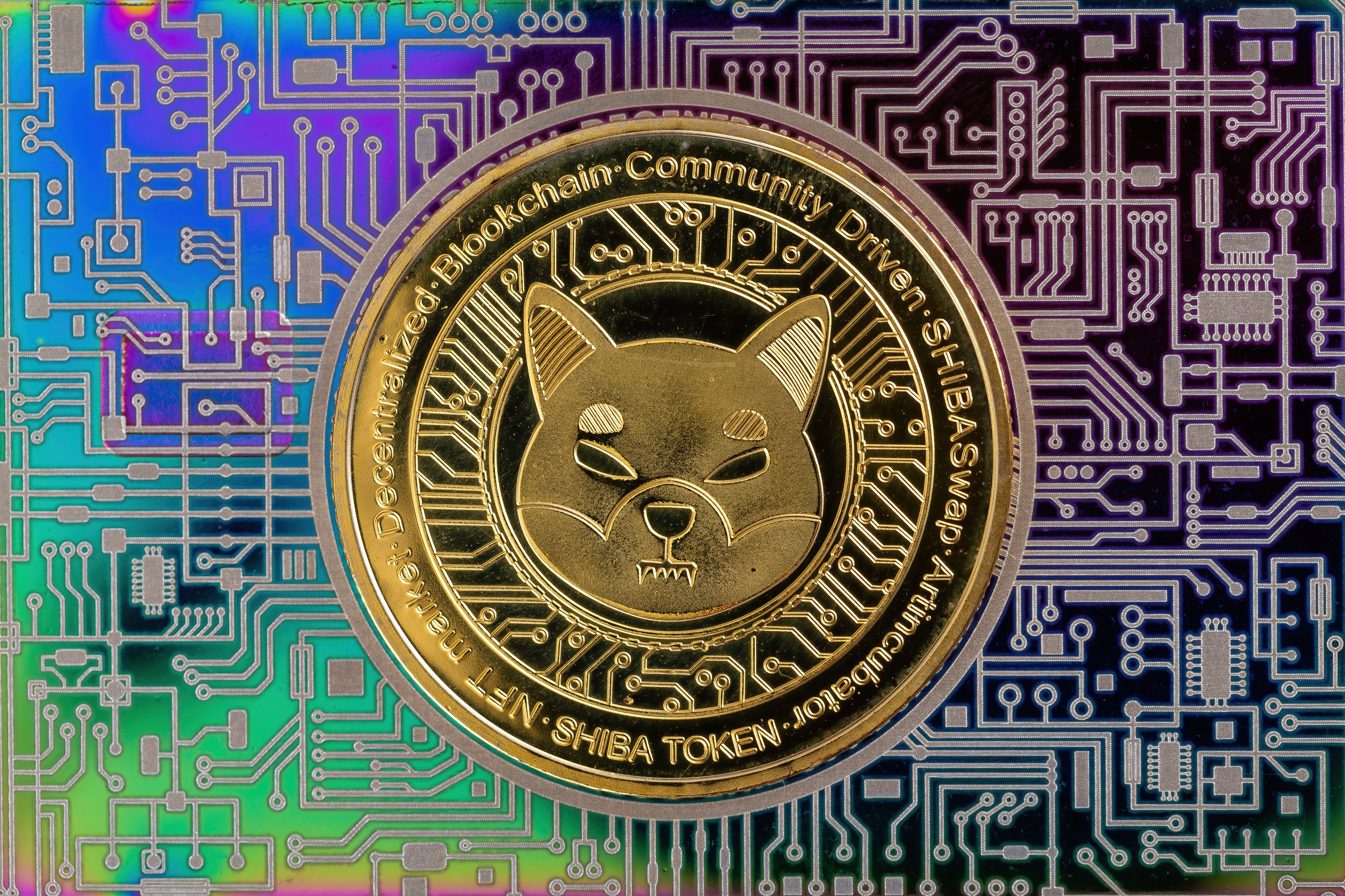 Shiba Inu Risks Losing Meme Coin Ranking to Pepe