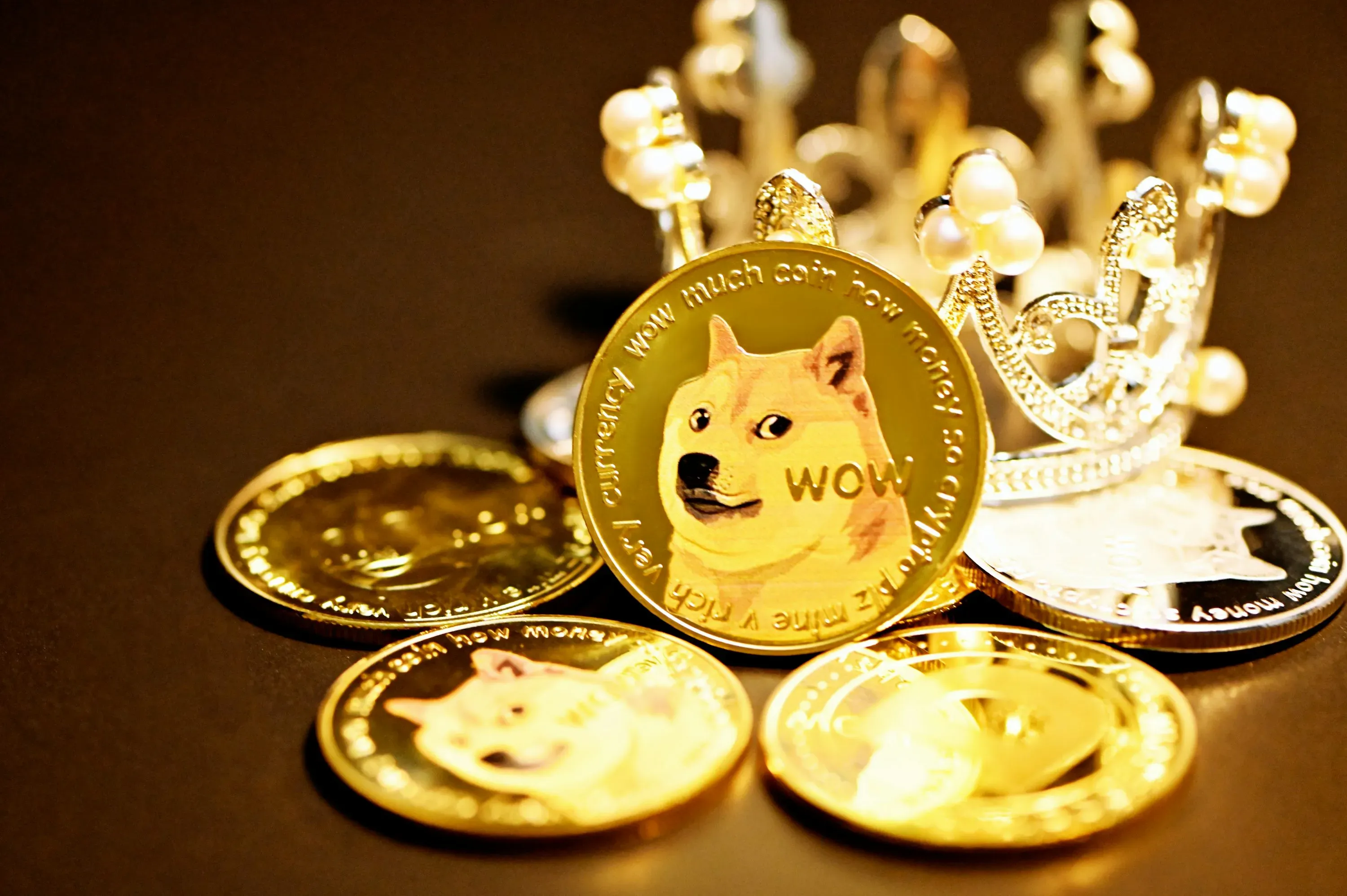 Dogecoin Whales Buy 2B DOGE at $0.245—Price Pattern Signals 800% Surge