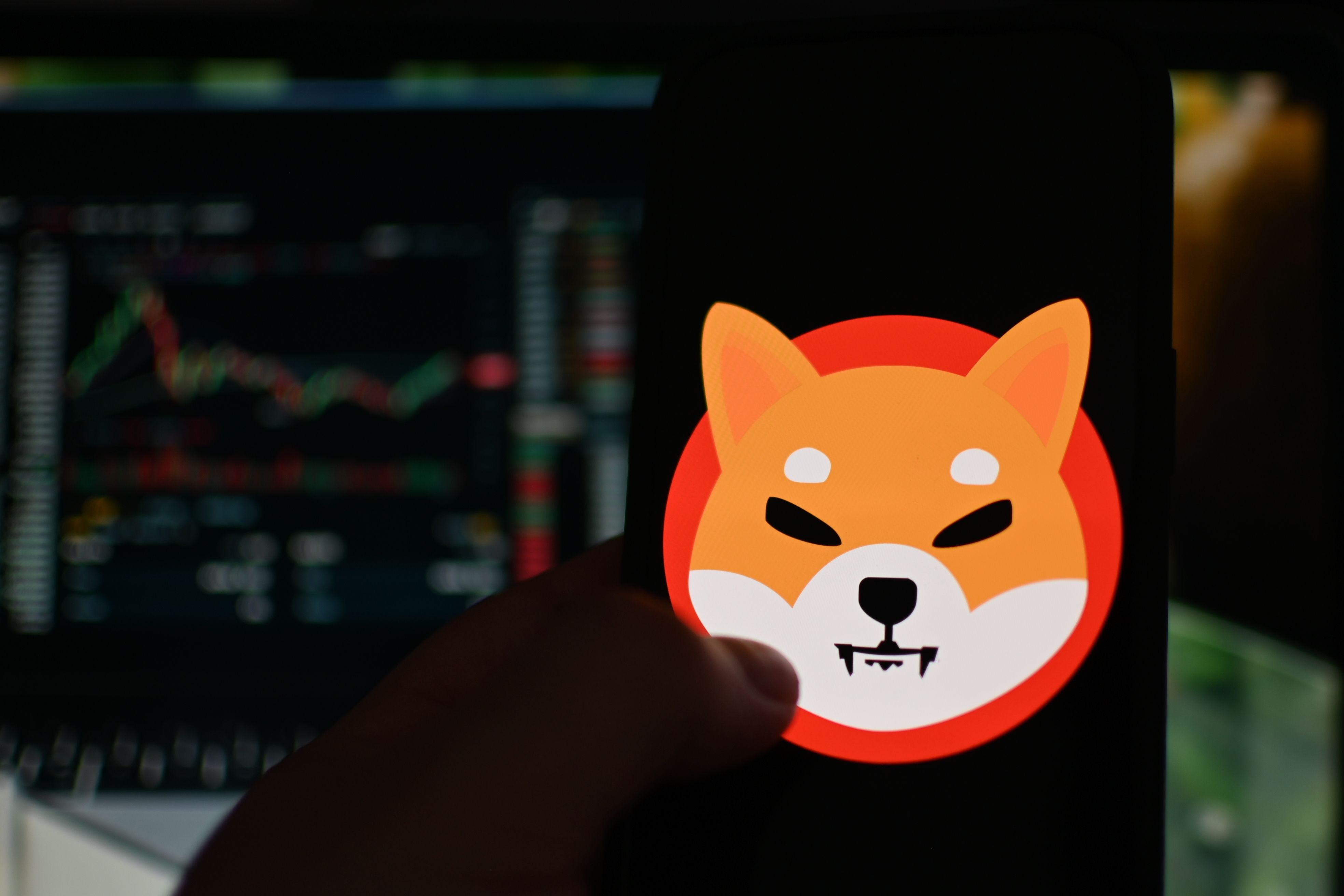 Shiba Inu Community Commentator Predicts New ATH Before Year-End