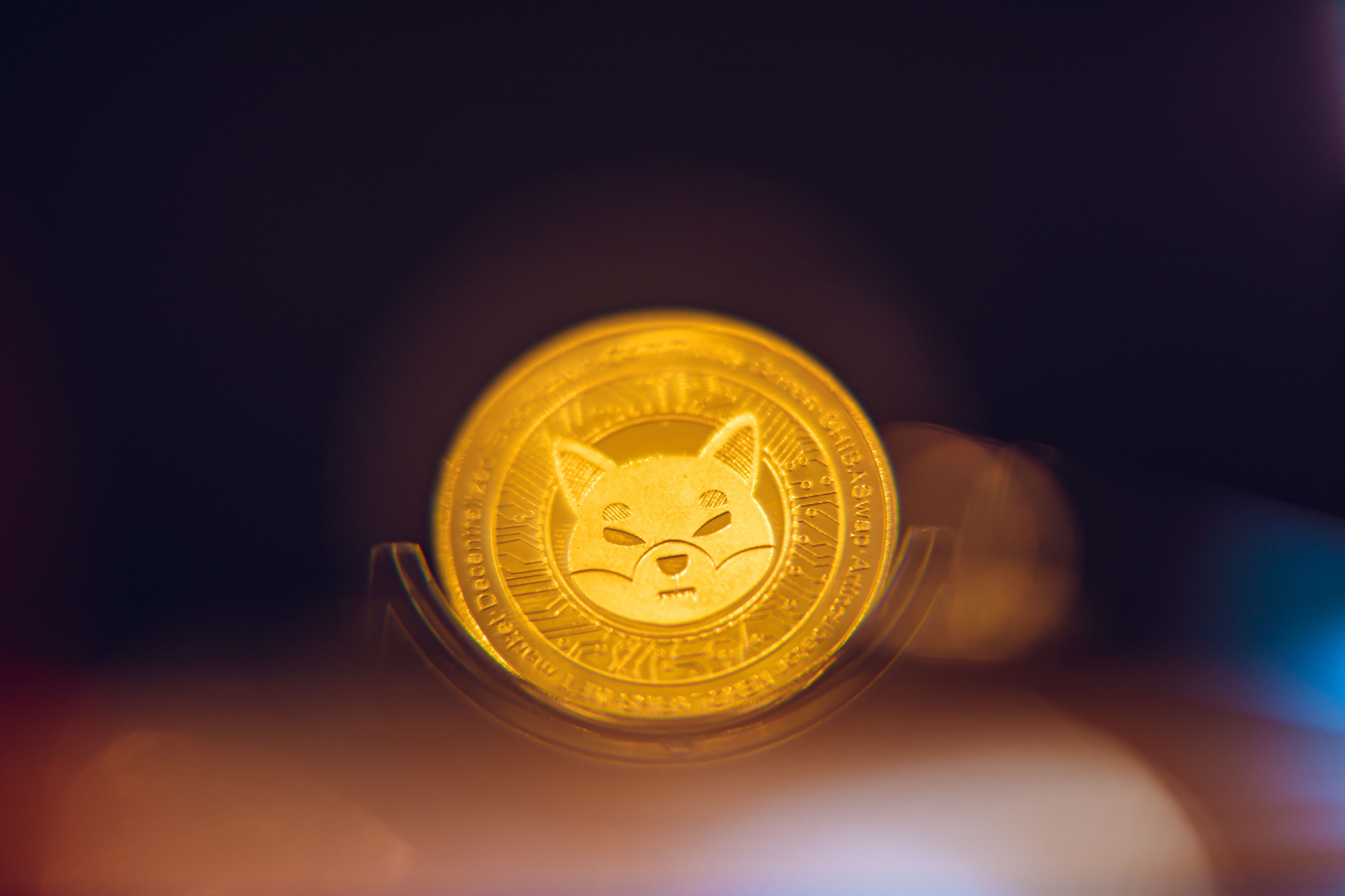 Tim Shiba Inu Pertahankan Relevansi SHIB di Tengah Kritikan